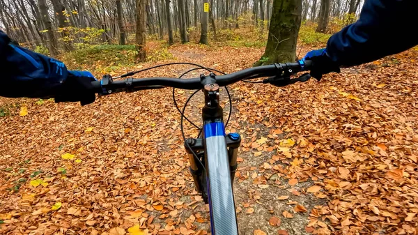 Sonbahar Mevsiminde Orman Yollarında Bisiklet Sürmeye Dayanır - Stok İmaj