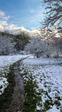 Winter in the city park. Lviv, Ukraine