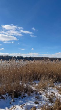 Scenery landscape background with lake and clouds on a sunny day