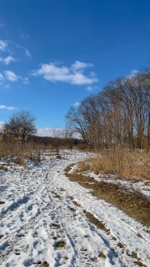 Scenery landscape background with the field in the winter season
