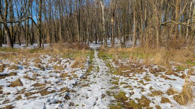 Scenery landscape background with the field in the winter season