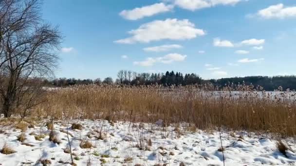 Paysage Paysage Fond Avec Lac Nuages Par Une Journée Ensoleillée — Video