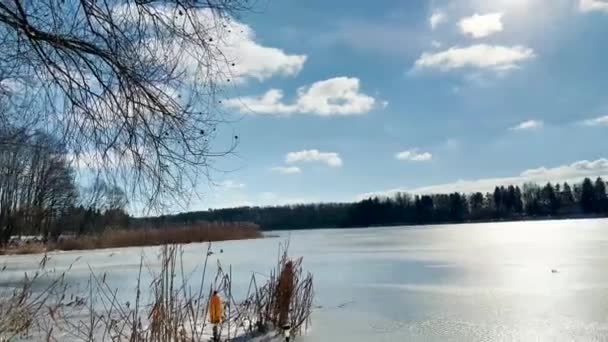 Scenery Landscape Background Lake Clouds Sunny Day — Stockvideo