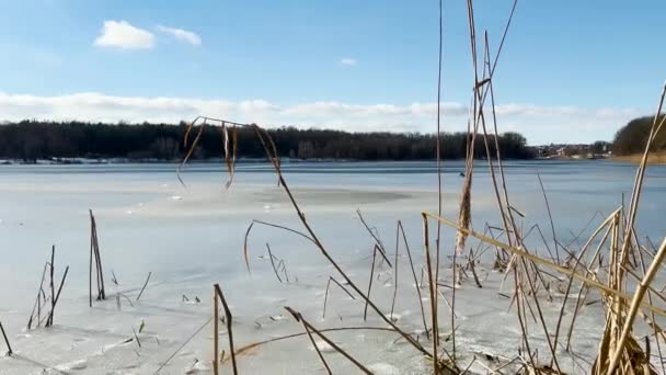 Paysage Paysage Fond Avec Lac Nuages Par Une Journée Ensoleillée — Video