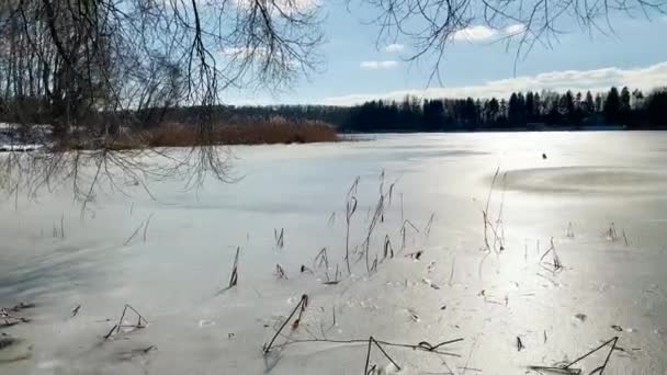 Krajina Pozadí Jezerem Mraky Slunečný Den — Stock video