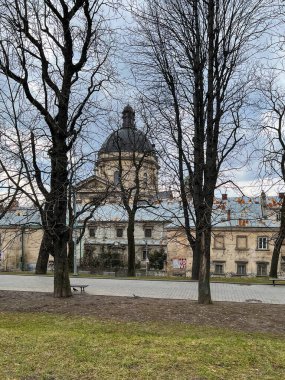 Yaz mevsiminde eski şehir Lviv mimarisi. 
