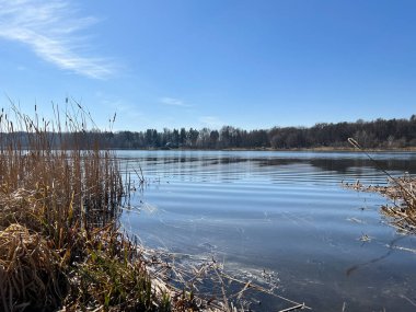 Güneşli bir günde orman ve göl manzarası. Bahar mevsiminin başlarında mükemmel manzara manzarası.