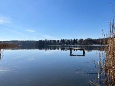 Güneşli bir günde orman ve göl manzarası. Bahar mevsiminin başlarında mükemmel manzara manzarası.