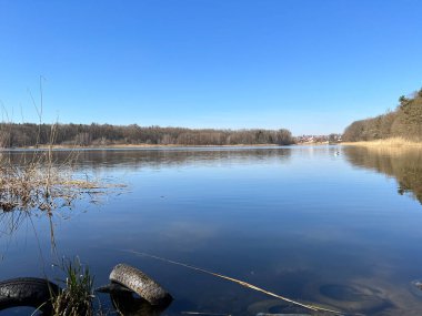 Güneşli bir günde orman ve göl manzarası. Bahar mevsiminin başlarında mükemmel manzara manzarası.