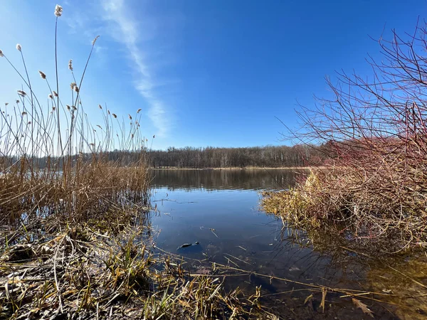 stock image Landscape with lake and forest in the sunny day. Perfect landscape view in the early spring season.