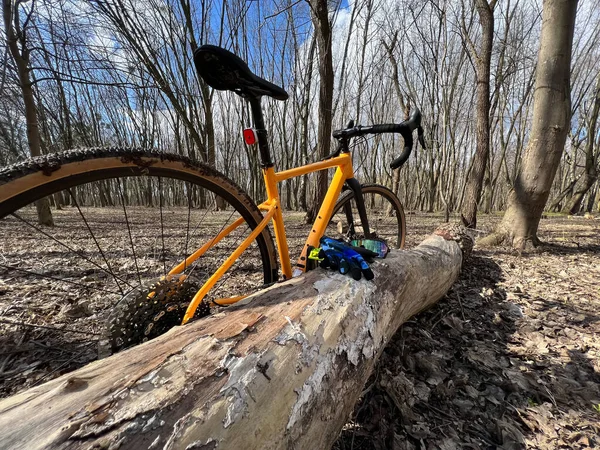 Bicicleta Grava Parque Ciudad Temporada Primavera —  Fotos de Stock