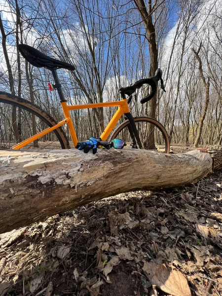春天的时候 公园里的碎石自行车 — 图库照片