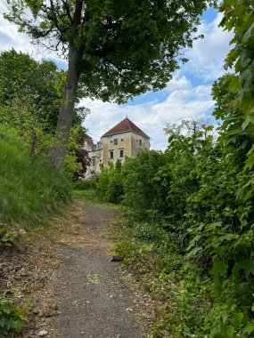 Ukrayna 'nın batısındaki eski şatonun mimarisi. Güneşli bir günde mükemmel bir mimari yapı.