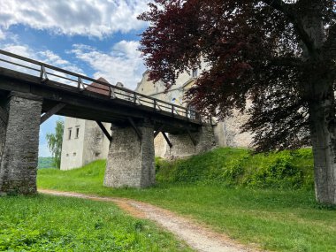 Ukrayna 'nın batısındaki eski şatonun mimarisi. Güneşli bir günde mükemmel bir mimari yapı.