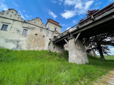 Ukrayna 'nın batısındaki eski şatonun mimarisi. Güneşli bir günde mükemmel bir mimari yapı.