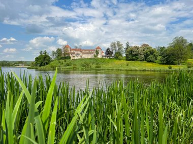 Ukrayna 'nın batısındaki eski şatonun mimarisi. Güneşli bir günde mükemmel bir mimari yapı.