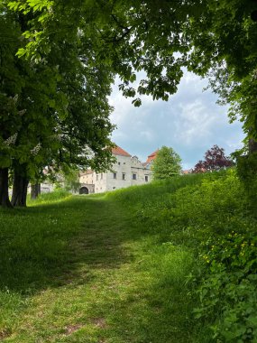 Ukrayna 'nın batısındaki eski şatonun mimarisi. Güneşli bir günde mükemmel bir mimari yapı.