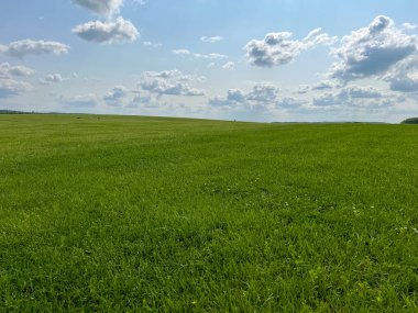 Harika bir açık hava parkı. Güneşli hava ve gökyüzündeki ışık bulutları inanılmaz bir atmosfer yaratır. Güzel güneşli yaz günü
