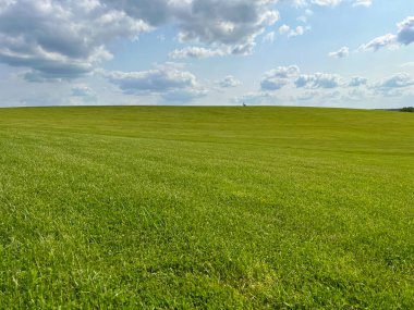 Harika bir açık hava parkı. Güneşli hava ve gökyüzündeki ışık bulutları inanılmaz bir atmosfer yaratır. Güzel güneşli yaz günü