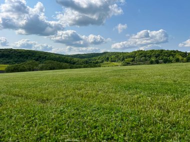 Harika bir açık hava parkı. Güneşli hava ve gökyüzündeki ışık bulutları inanılmaz bir atmosfer yaratır. Güzel güneşli yaz günü