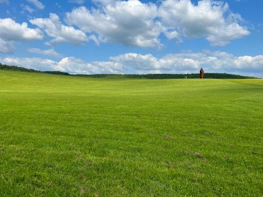 Harika bir açık hava parkı. Güneşli hava ve gökyüzündeki ışık bulutları inanılmaz bir atmosfer yaratır. Güzel güneşli yaz günü
