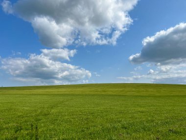 Harika bir açık hava parkı. Güneşli hava ve gökyüzündeki ışık bulutları inanılmaz bir atmosfer yaratır. Güzel güneşli yaz günü