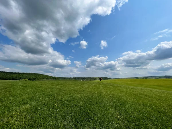 Harika bir açık hava parkı. Güneşli hava ve gökyüzündeki ışık bulutları inanılmaz bir atmosfer yaratır. Güzel güneşli yaz günü