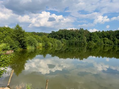 Kırsalda güzel küçük bir göl. Gökyüzünde bulutlarla güneşli bir gün. Rahatlamak için mükemmel bir yer.