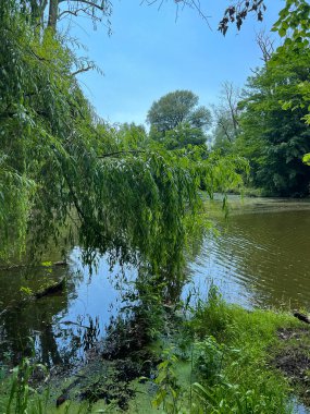 Kırsalda güzel küçük bir göl. Gökyüzünde bulutlarla güneşli bir gün. Rahatlamak için mükemmel bir yer.
