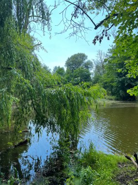 Kırsalda güzel küçük bir göl. Gökyüzünde bulutlarla güneşli bir gün. Rahatlamak için mükemmel bir yer.