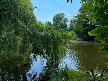 Kırsalda güzel küçük bir göl. Gökyüzünde bulutlarla güneşli bir gün. Rahatlamak için mükemmel bir yer.