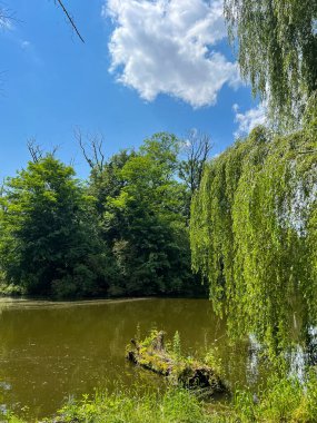 Kırsalda güzel küçük bir göl. Gökyüzünde bulutlarla güneşli bir gün. Rahatlamak için mükemmel bir yer.