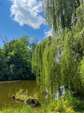 Kırsalda güzel küçük bir göl. Gökyüzünde bulutlarla güneşli bir gün. Rahatlamak için mükemmel bir yer.