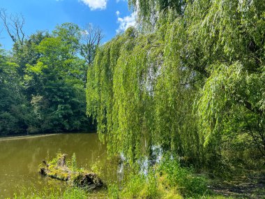 Kırsalda güzel küçük bir göl. Gökyüzünde bulutlarla güneşli bir gün. Rahatlamak için mükemmel bir yer.