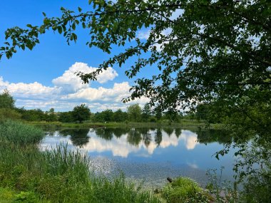 Kırsalda güzel küçük bir göl. Gökyüzünde bulutlarla güneşli bir gün. Rahatlamak için mükemmel bir yer.