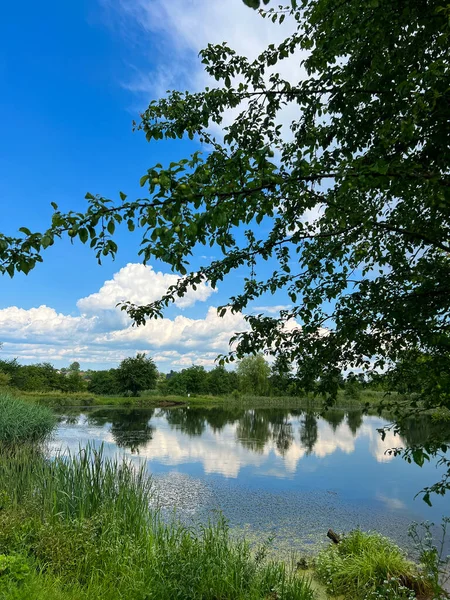 stock image A beautiful small lake in the countryside. Sunny day with clouds in the sky. Perfect place for relaxing