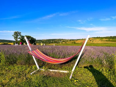 Şüphe götürmez lavanta aroması havayı dolduruyor. Koku hem rahatlatıcı hem de canlandırıcı, sizi huzur ve rahatlık dolu bir yere götürüyor..