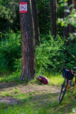 Yaz mevsiminde şehir parkında çakıl bisikleti