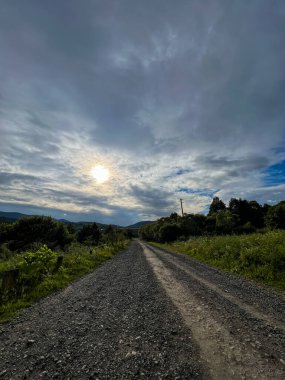 Muhteşem Karpat dağları yaz mevsiminde orman ve bulutlarla kaplı arka plan  