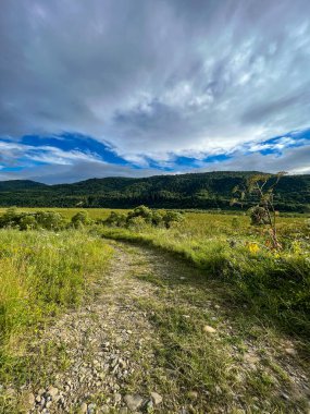 Muhteşem Karpat dağları yaz mevsiminde orman ve bulutlarla kaplı arka plan  