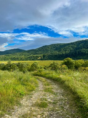 Muhteşem Karpat dağları yaz mevsiminde orman ve bulutlarla kaplı arka plan  