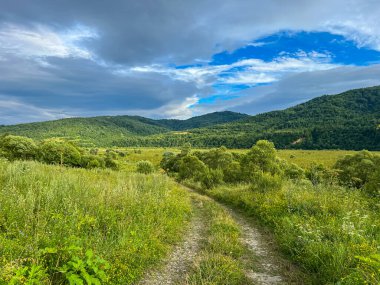 Muhteşem Karpat dağları yaz mevsiminde orman ve bulutlarla kaplı arka plan  