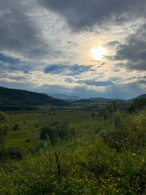 Muhteşem Karpat dağları yaz mevsiminde orman ve bulutlarla kaplı arka plan  