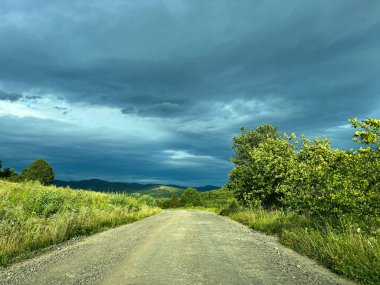 Muhteşem Karpat dağları yaz mevsiminde orman ve bulutlarla kaplı arka plan  