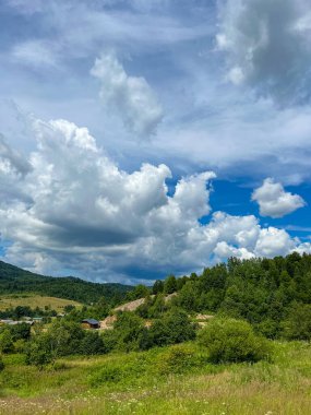 Muhteşem Karpat dağları yaz mevsiminde orman ve bulutlarla kaplı arka plan  