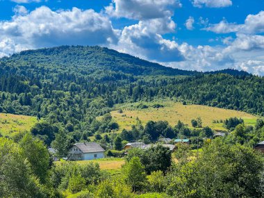 Muhteşem Karpat dağları yaz mevsiminde orman ve bulutlarla kaplı arka plan  