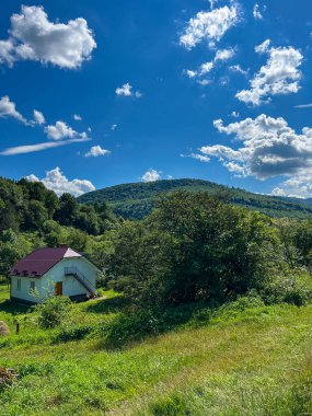Muhteşem Karpat dağları yaz mevsiminde orman ve bulutlarla kaplı arka plan  