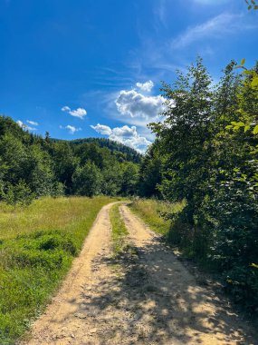 Muhteşem Karpat dağları yaz mevsiminde orman ve bulutlarla kaplı arka plan  