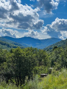 Muhteşem Karpat dağları yaz mevsiminde orman ve bulutlarla kaplı arka plan  