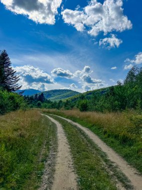Muhteşem Karpat dağları yaz mevsiminde orman ve bulutlarla kaplı arka plan  